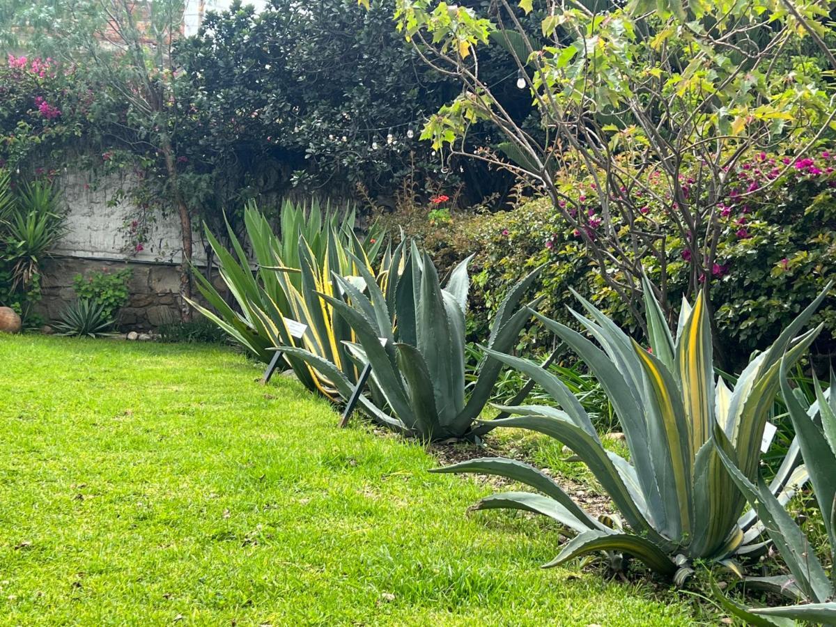 Casona Lara Lodge & Distillery Caraz Exterior foto
